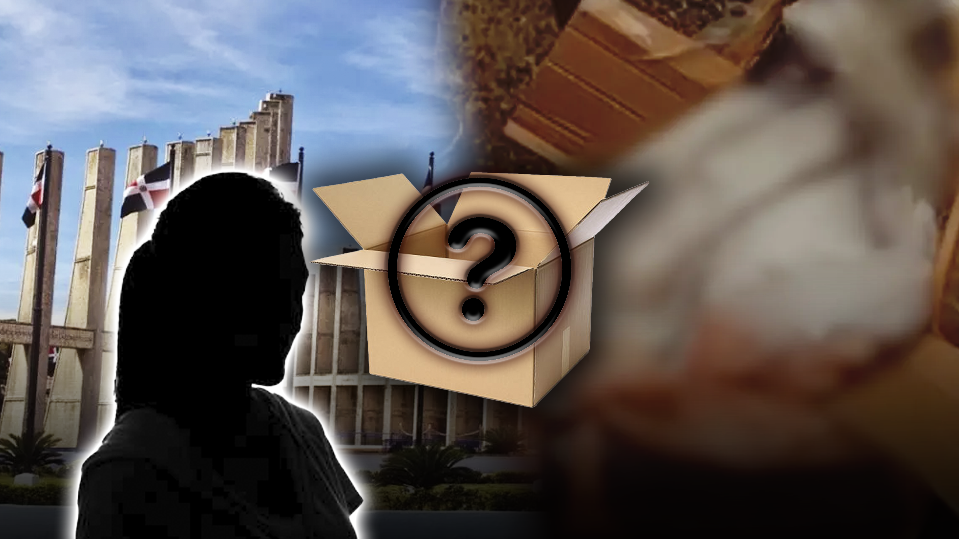 Mujer hallada sin vida dentro de caja de cartón en San Cristóbal