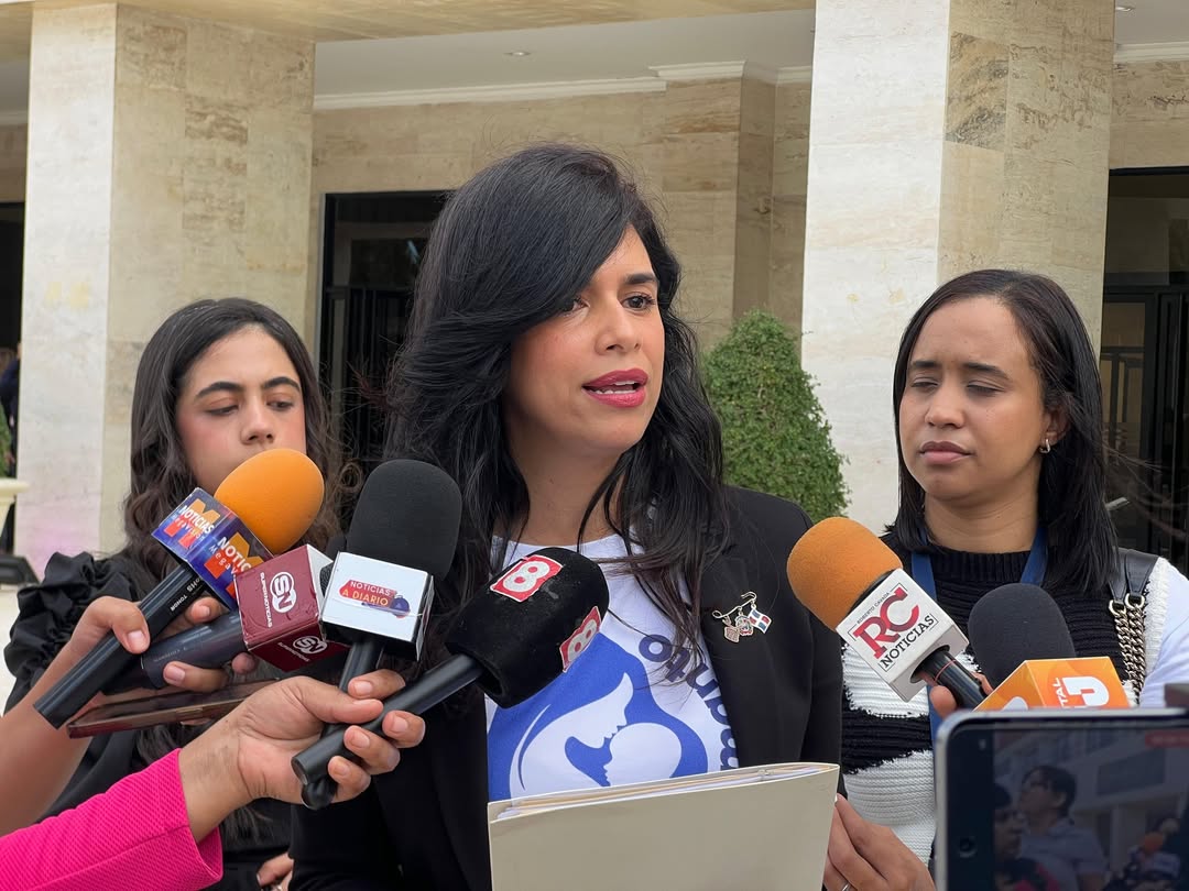 Prolactar RD plantea aumentar licencia por maternidad a seis meses