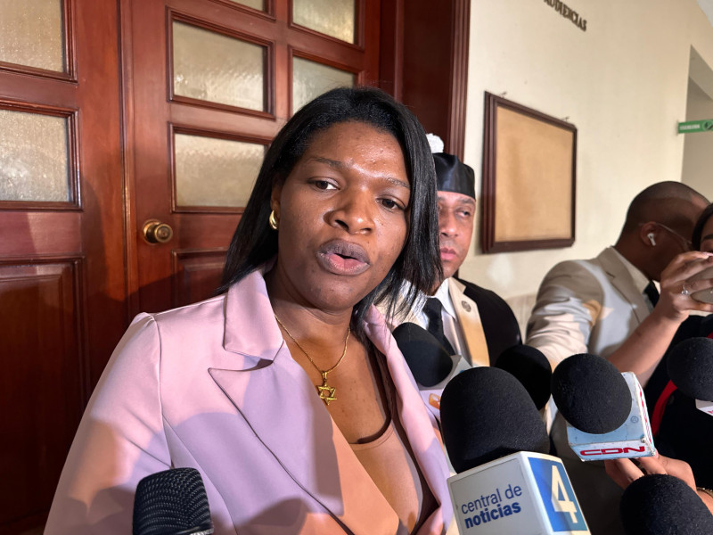 Juicio de Elizabeth Silverio Silien: Ministerio Público solicita siete años de prisión.