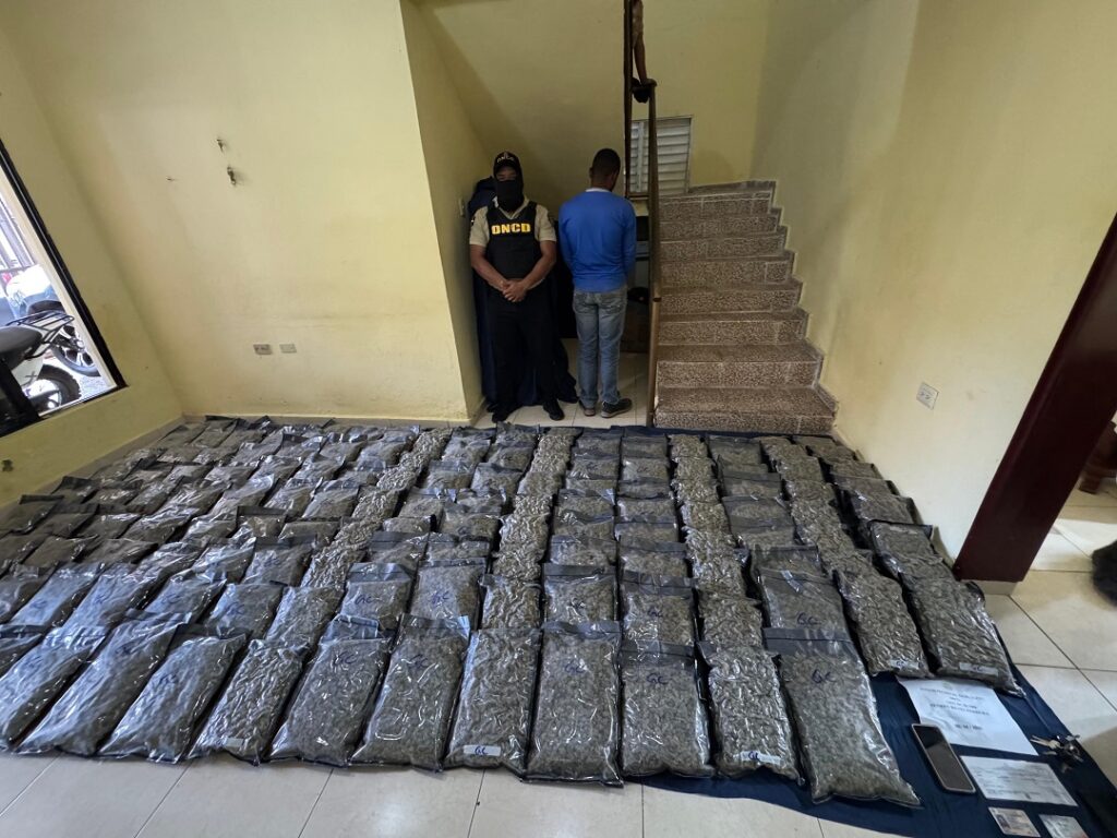 Marihuana sintética: incautan 151 paquetes en operativo en Azua