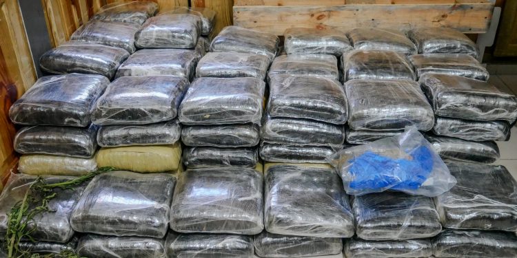 Autoridades incautan más de 600 libras de presunta marihuana en Elías Piña
