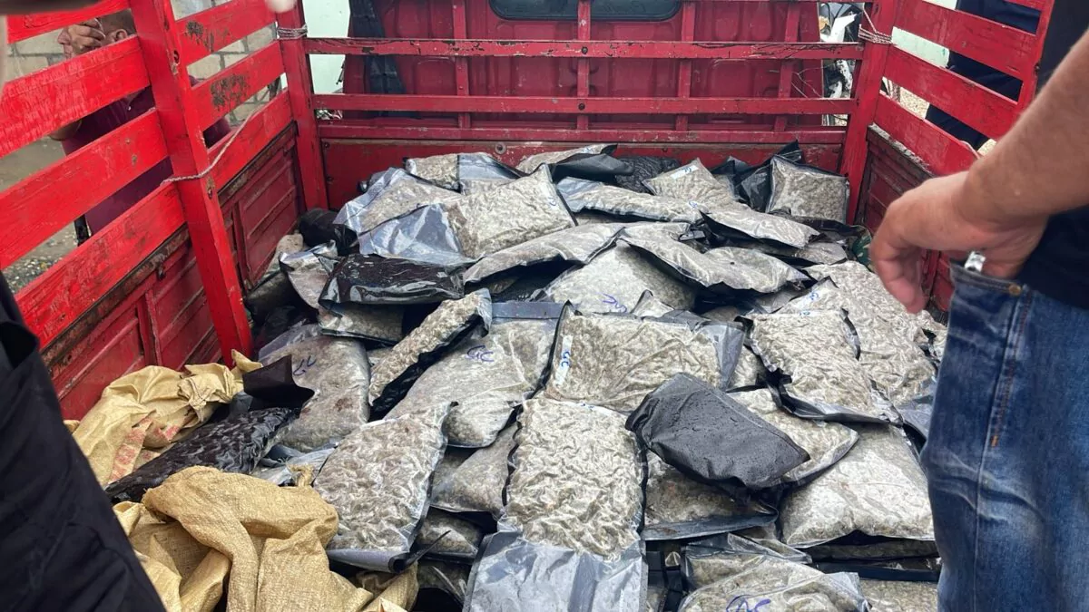 Marihuana sintética: incautan 151 paquetes en operativo en Azua