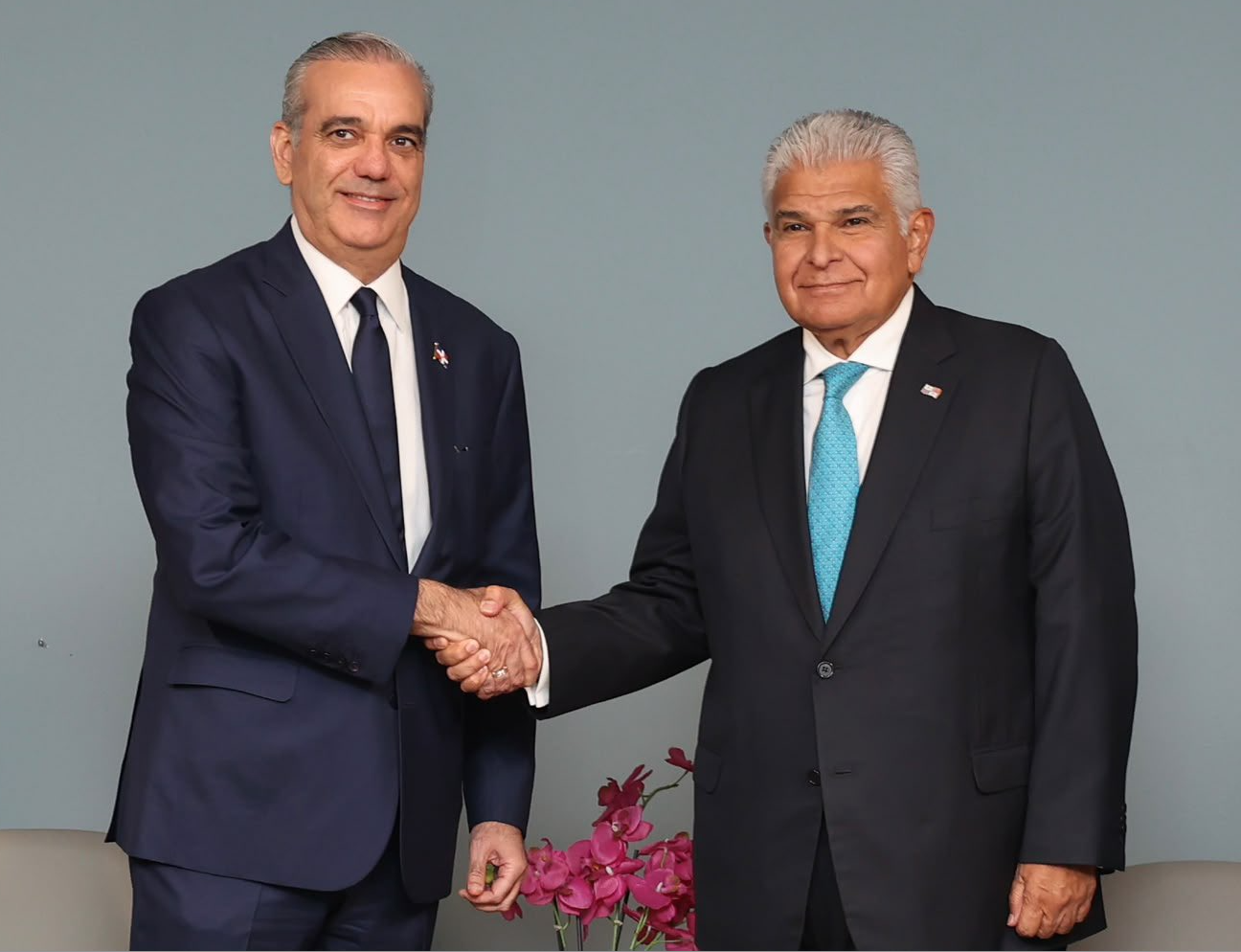 Oportunidades de inversión centran encuentro de Abinader con empresarios panameños