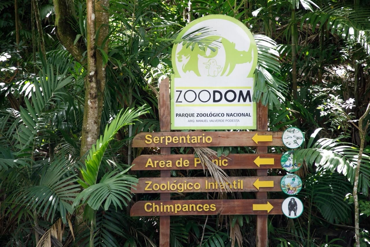 Zoológico Nacional recibe visita de Luis Abinader y anuncia transformación integral tras más de 20 años