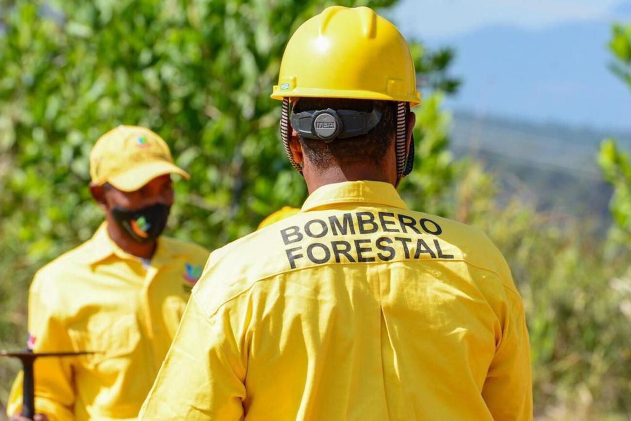 Incendio forestal en Sierra de Bahoruco moviliza a Medio Ambiente y apoyo militar aéreo del Gobierno