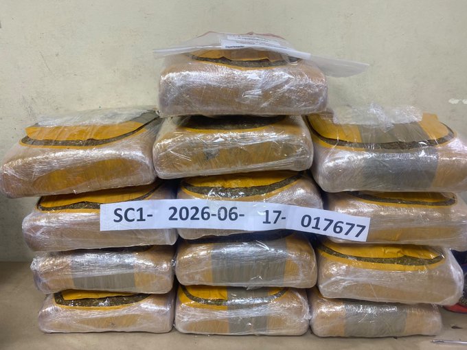 Marihuana en Azua ocupan 129 libras ocultas en vehículo y arrestan a dos personas