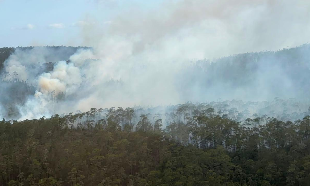 Incendio forestal en Sierra de Bahoruco moviliza a Medio Ambiente y apoyo militar aéreo del Gobierno