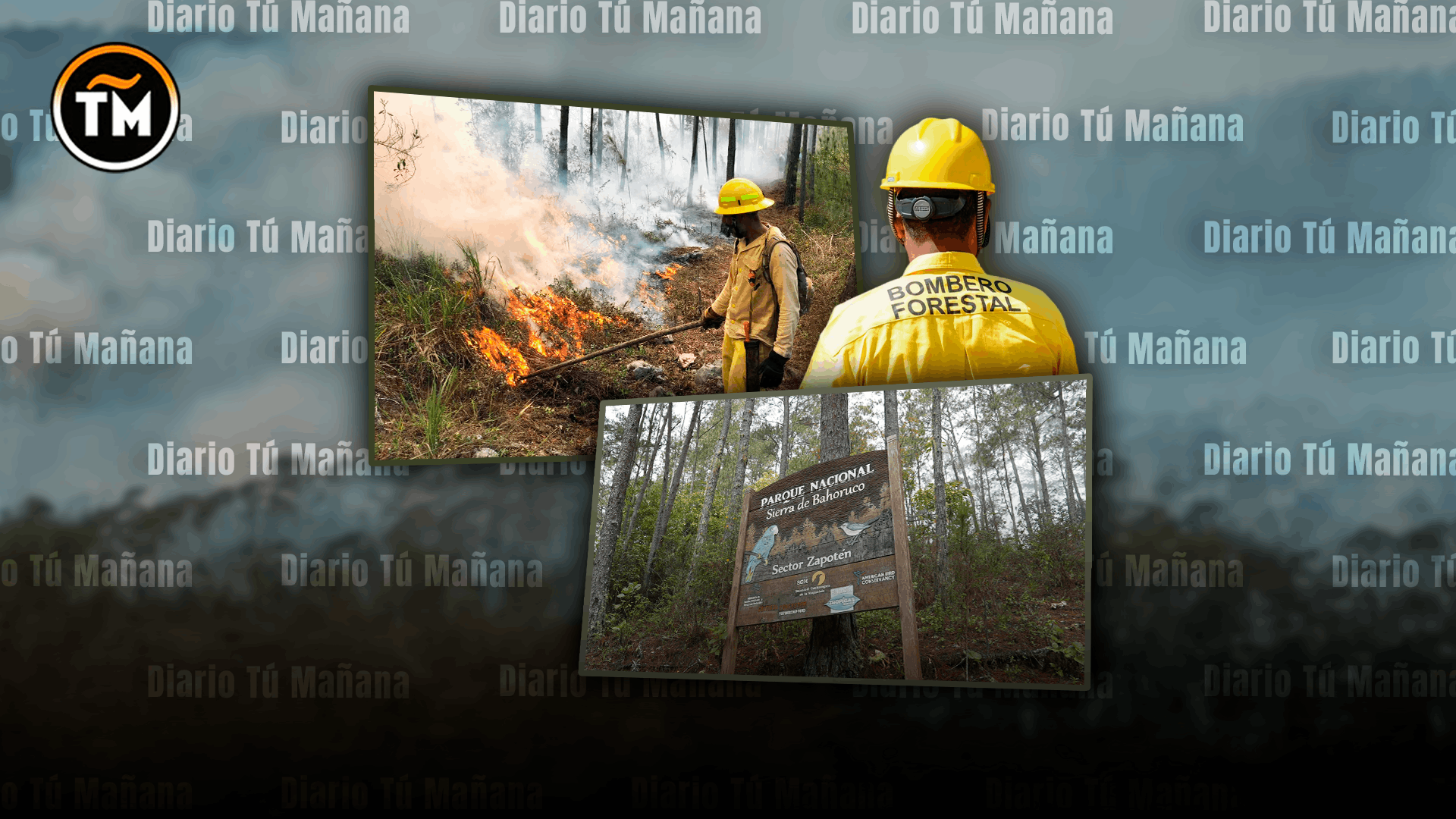 Incendio forestal en Sierra de Bahoruco moviliza a Medio Ambiente y apoyo militar aéreo del Gobierno