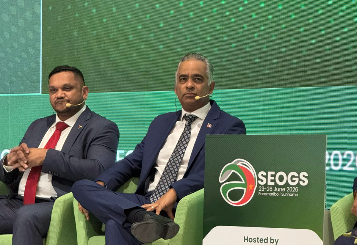 Transformación energética impulsa a RD con expansión eléctrica y renovables, destaca Joel Santos