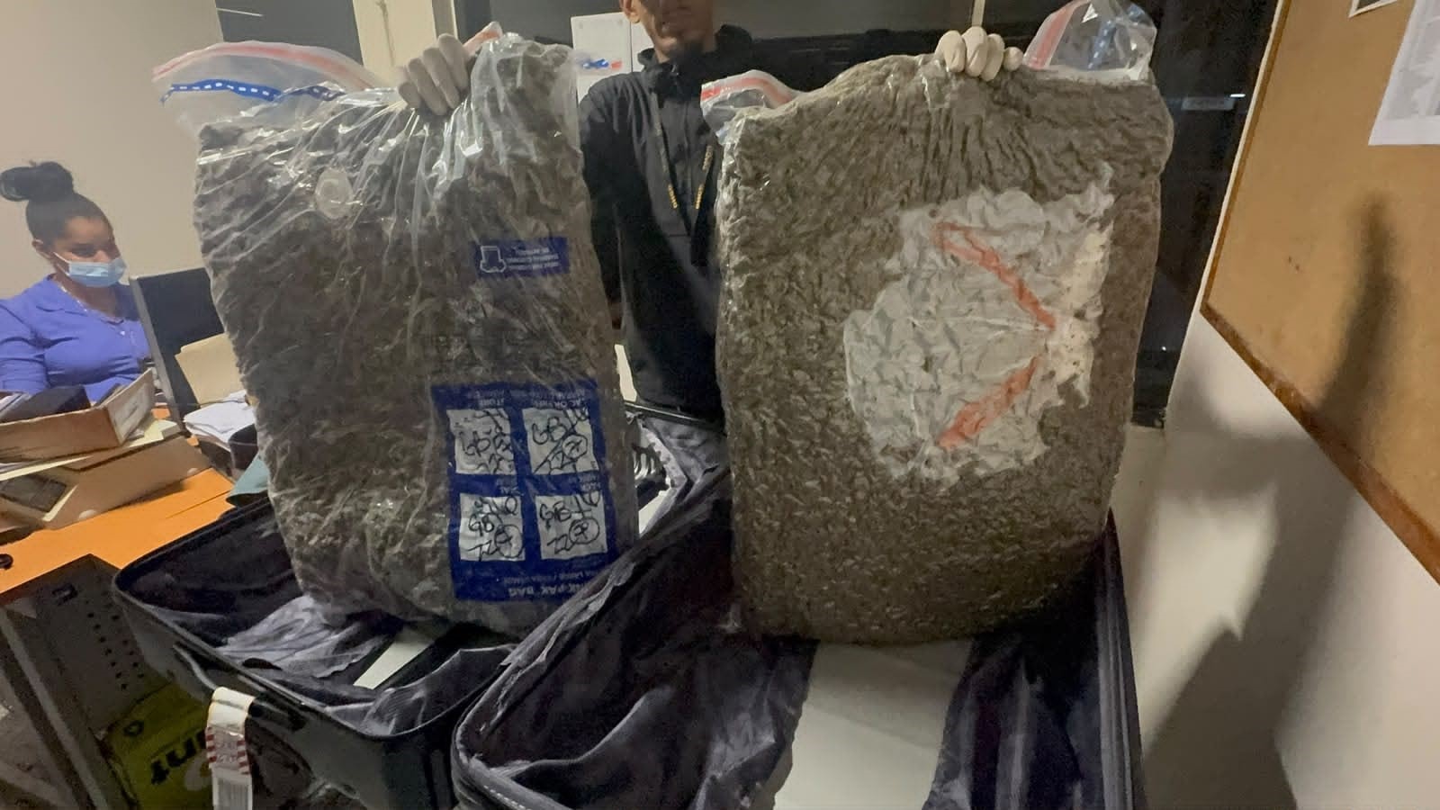 Marihuana incautada alcanza 28 libras tras decomiso de una maleta abandonada en el Aeropuerto Las Américas