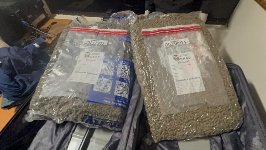 Marihuana incautada alcanza 28 libras tras decomiso de una maleta abandonada en el Aeropuerto Las Américas