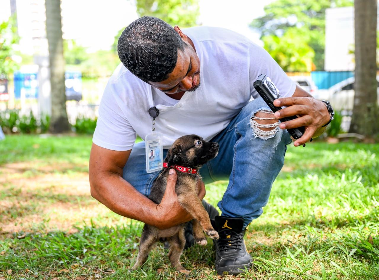 Adopción canina impulsa la Alcaldía de Santiago con feria que puso 50 perros en busca de hogar