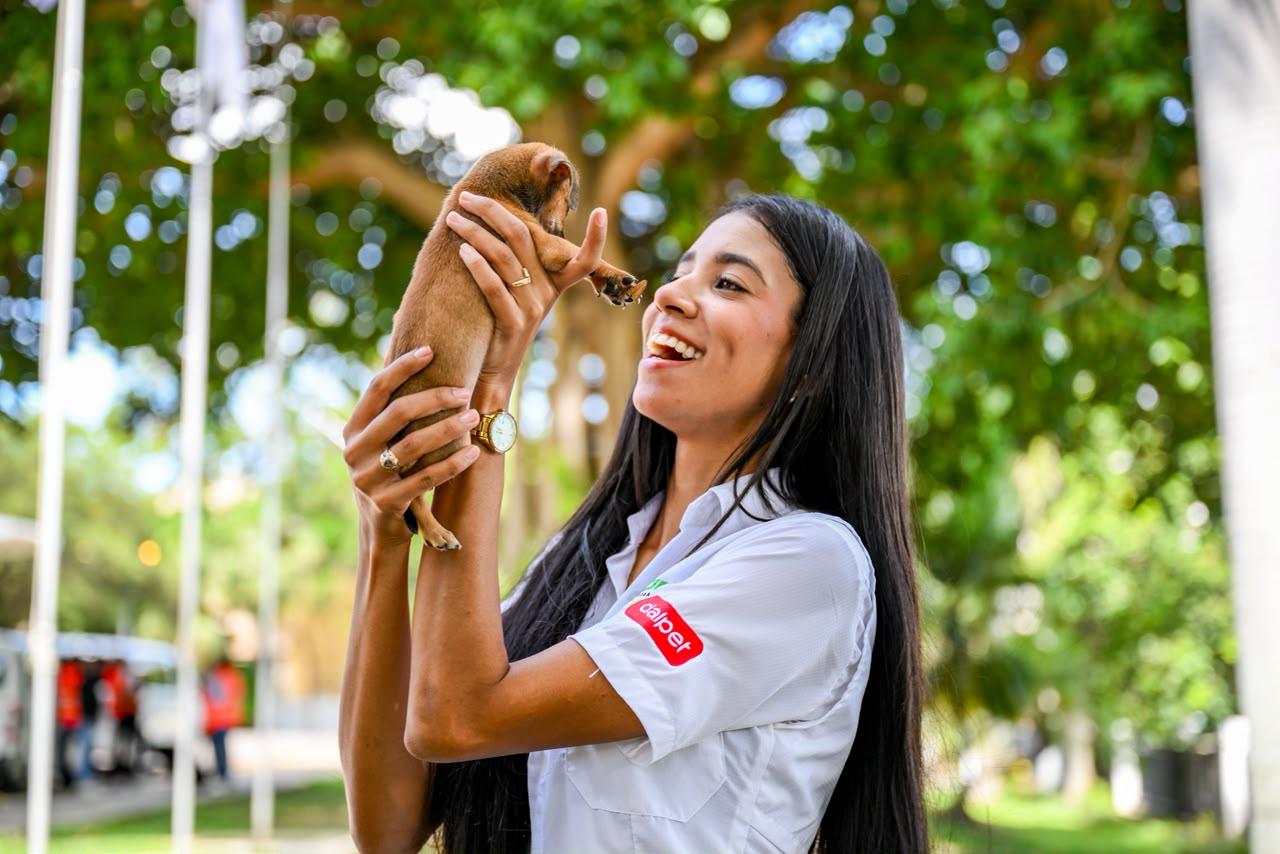 Adopción canina impulsa la Alcaldía de Santiago con feria que puso 50 perros en busca de hogar