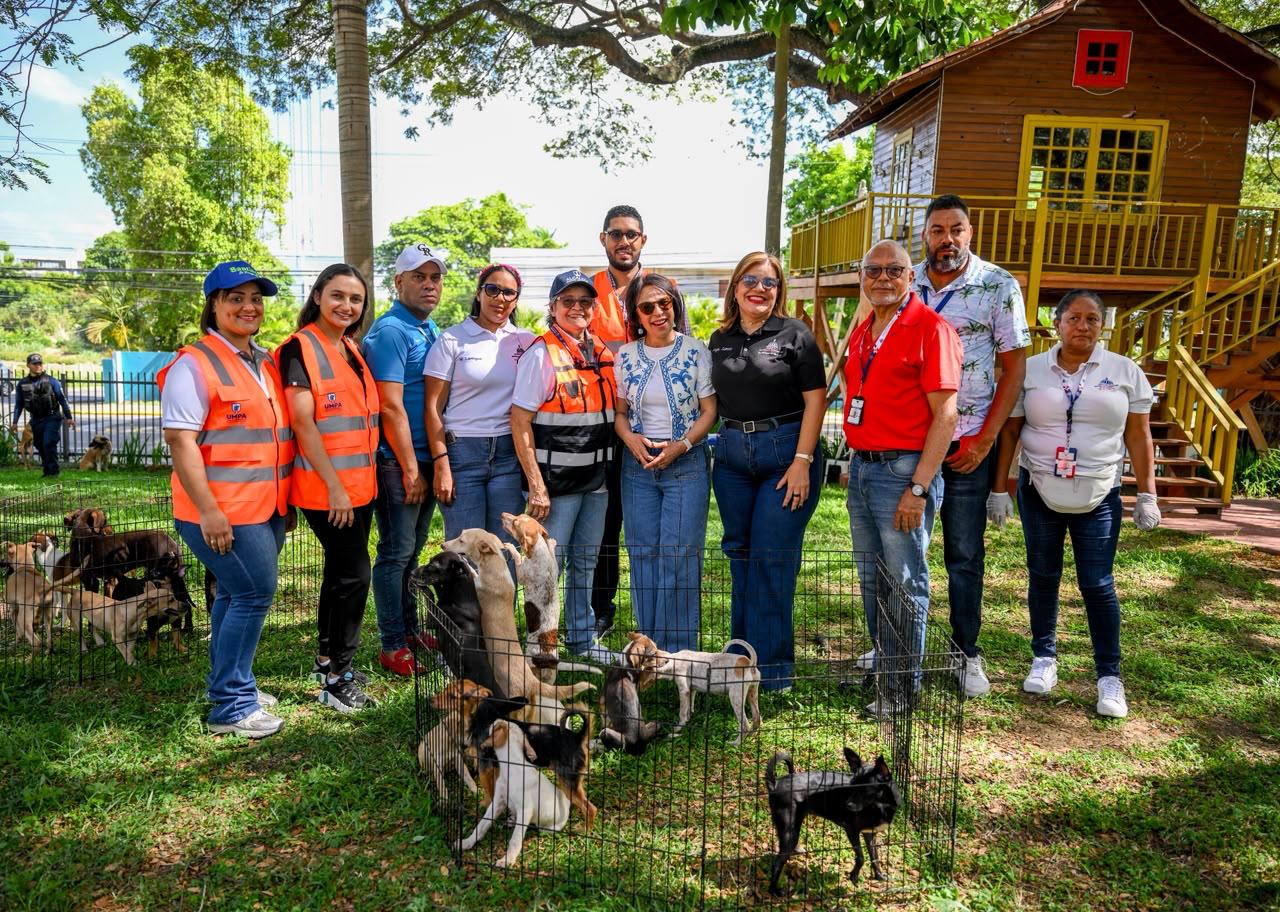 Adopción canina impulsa la Alcaldía de Santiago con feria que puso 50 perros en busca de hogar