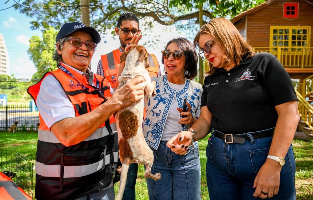 Adopción canina impulsa la Alcaldía de Santiago con feria que puso 50 perros en busca de hogar